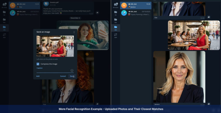 AI Visual Search and Recognition Systems